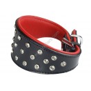Genuine Leather Dog Collar with Diamante